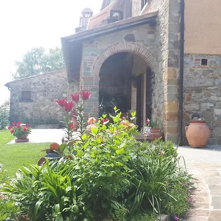 L'oliveto * Lucignano