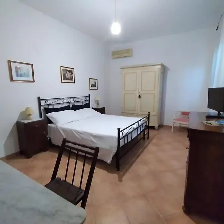 L'oliveto * Lucignano