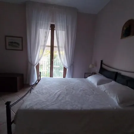 L'oliveto Lucignano