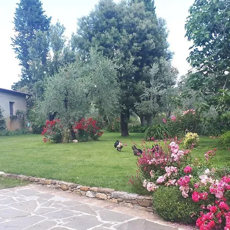 Oda ve Kahvaltı L'oliveto *