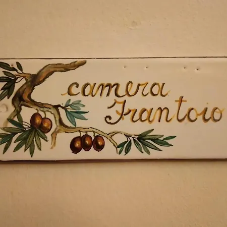 L'oliveto * Lucignano