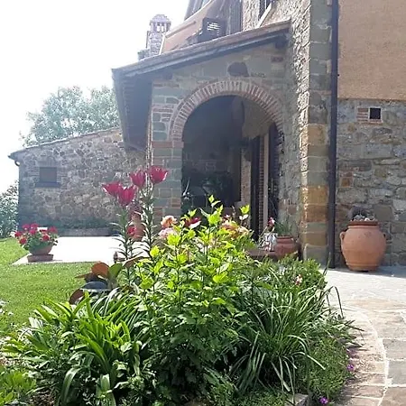 L'oliveto