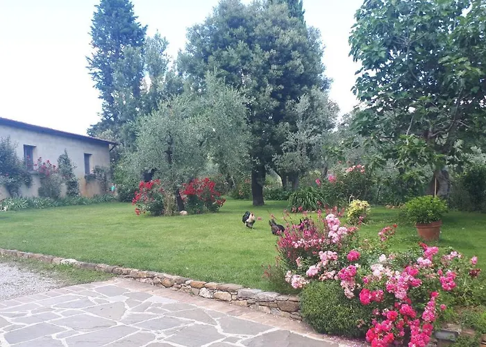 Bed and Breakfast L'oliveto 3*